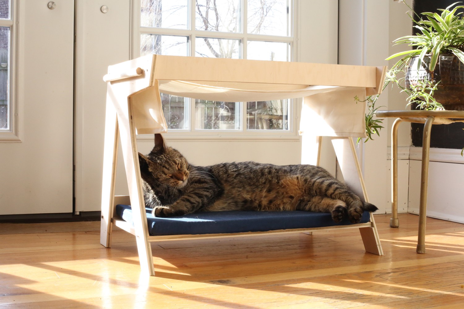 Minimalist cat bed and hammock